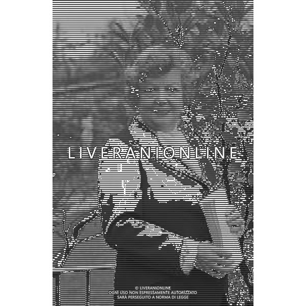 RETROSPETTIVA MARIANA FRIGENI CAREDDU SCRITTRICE NELLA FOTO NELLA SUA ABITAZIONE A BERGAMO NOVEMBRE 1976 ©Archivio Giovanni Liverani/AGENZIA ALDO LIVERANI SAS