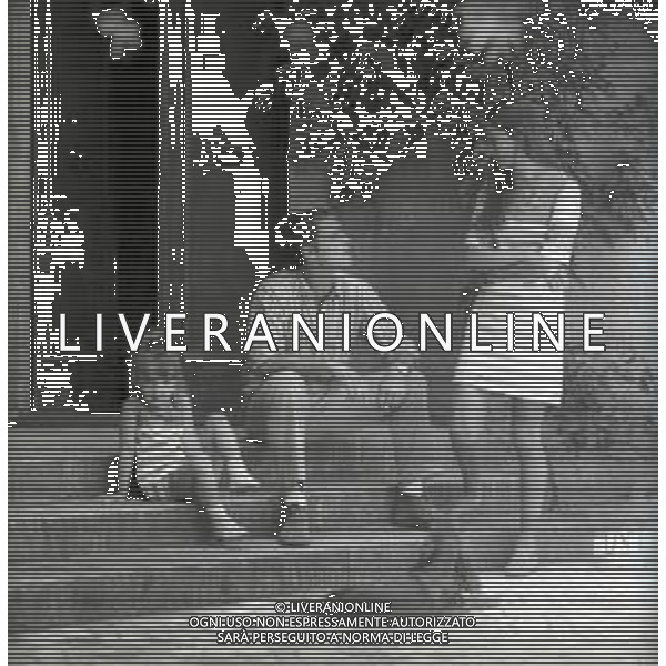 RETROSPETTIVA PHILIPPE LEROY ATTORE NELLA FOTO PHILIPPE LEROY CON FRANCOIS LAURENT E LA FIGLIA PHILIPPINE A ROMA NELL\'ANNO 1967 AG ALDO LIVERANI SAS