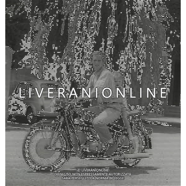 RETROSPETTIVA PHILIPPE LEROY ATTORE NELLA FOTO PHILIPPE LEROY CON FRANCOIS LAURENT E LA FIGLIA PHILIPPINE A ROMA NELL\'ANNO 1967 AG ALDO LIVERANI SAS