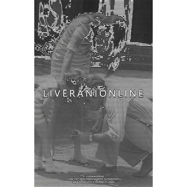 RETROSPETTIVA PHILIPPE LEROY ATTORE NELLA FOTO PHILIPPE LEROY CON FRANCOIS LAURENT E LA FIGLIA PHILIPPINE A ROMA NELL\'ANNO 1967 AG ALDO LIVERANI SAS