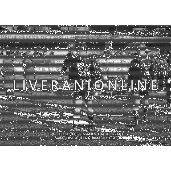 18-02-1990 VERONA CAMPIONATO DI CALCIO SERIE A VERONA-SAMPDORIA 1-0 NELLA FOTO ARBITRO ARCANGELO PEZZELLA AG ALDO LIVERANI SAS