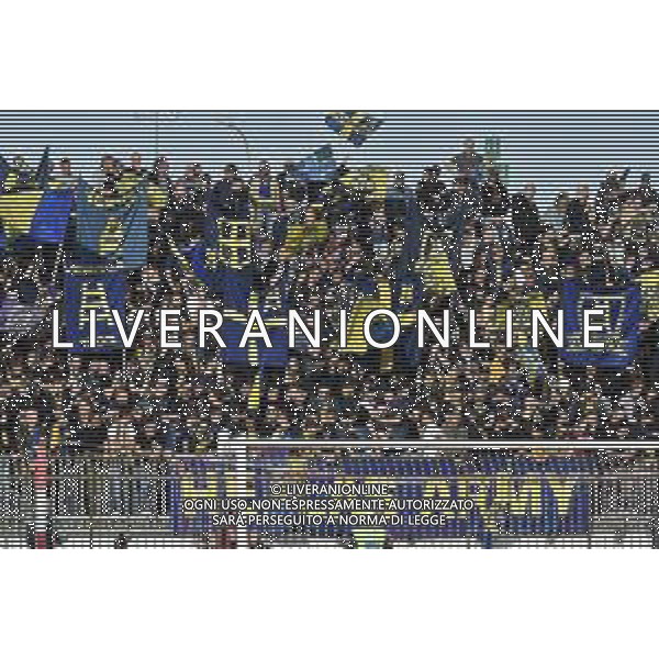 TVRG tifosi Hellas Verona Monza vs Hellas Verona Monza 06-11-2022 U-Power Stadium Campionato Serie A TIM - 6a giornata foto Roberto Garavaglia/ag. Aldo Liverani sas / AGENZIA ALDO LIVERANI SAS