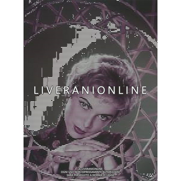 RETROSPETTIVA JANET LEIGH PSEUDONIMO DI JANNET HELEN MORRISON ATTRICE  NELLA FOTO JANET LEIGH ARCHIVIO GIOVANNI LIVERANI-AG ALDO LIVERANI SAS  