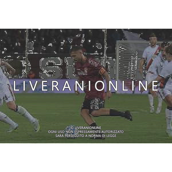 Reggina-Genoa Serie B 2022-2023, November 11 2022, Stadio Oreste Granillo in Reggio Calabria In pic: Jeremy Menez FOTO ANDREA ROSITO-AG ALDO LIVERANI SAS