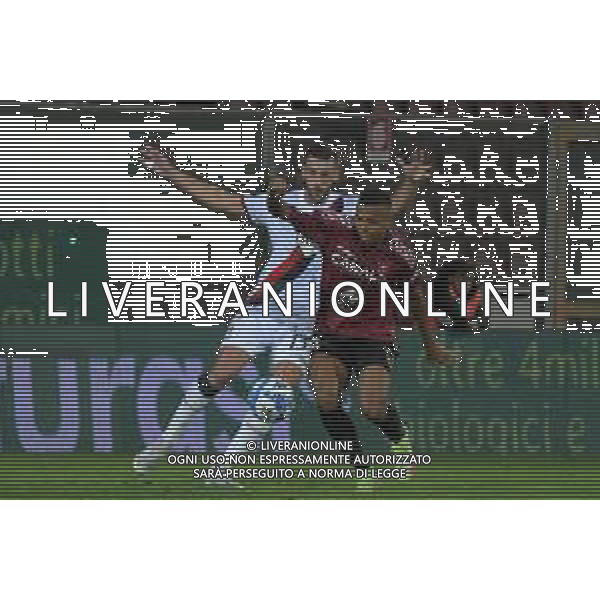 Reggina-Genoa Serie B 2022-2023, November 11 2022, Stadio Oreste Granillo in Reggio Calabria In pic: Rigoberto Rivas and Mattia Bini FOTO ANDREA ROSITO-AG ALDO LIVERANI SAS