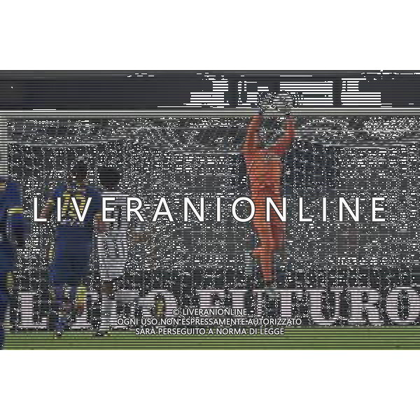 TVRG Mattia Perin (Juventus) Hellas Verona vs Juventus Verona 10-11-2022 Stadio Marcantonio Bentegodi Campionato Serie A TIM - 14a giornata foto Roberto Garavaglia/ag. Aldo Liverani sas / AGENZIA ALDO LIVERANI SAS