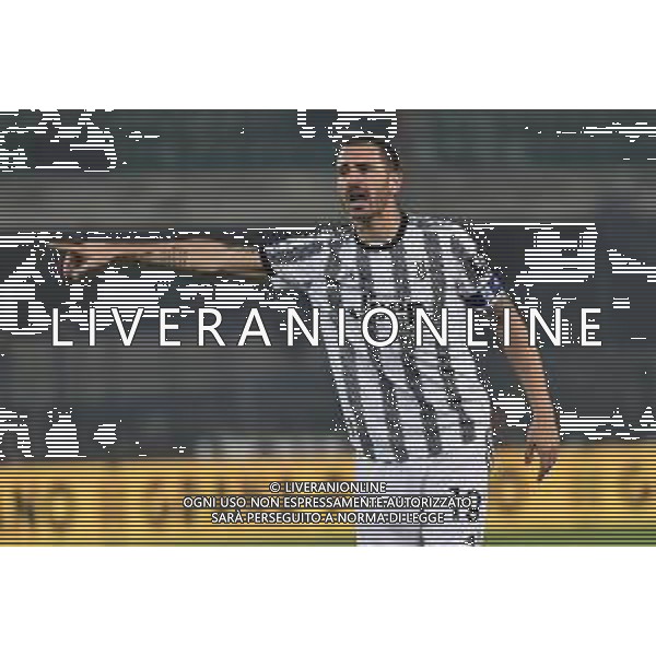 TVRG Leonardo Bonucci (Juventus) Hellas Verona vs Juventus Verona 10-11-2022 Stadio Marcantonio Bentegodi Campionato Serie A TIM - 14a giornata foto Roberto Garavaglia/ag. Aldo Liverani sas / AGENZIA ALDO LIVERANI SAS