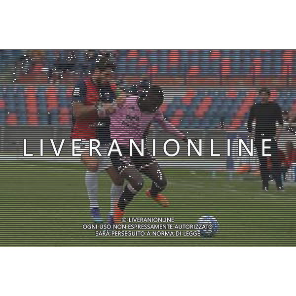 Cosenza, Italia - calcio Cosenza vs Palermo - Campionato di calcio Serie BKT 2022/2023 Stadio San Vito Marulla. Nella foto: Joaquin Larrivey e Claudio Gomes November 12, 2022 Cosenza, Italy - sport, soccer - Cosenza vs Palermo - Italian Football Championship League BKT 2022/2023 - San Vito-Marulla stadium. In the pic: Joaquin Larrivey e Claudio Gomes ©Andrea Rosito / AGENZIA ALDO LIVERANI SAS