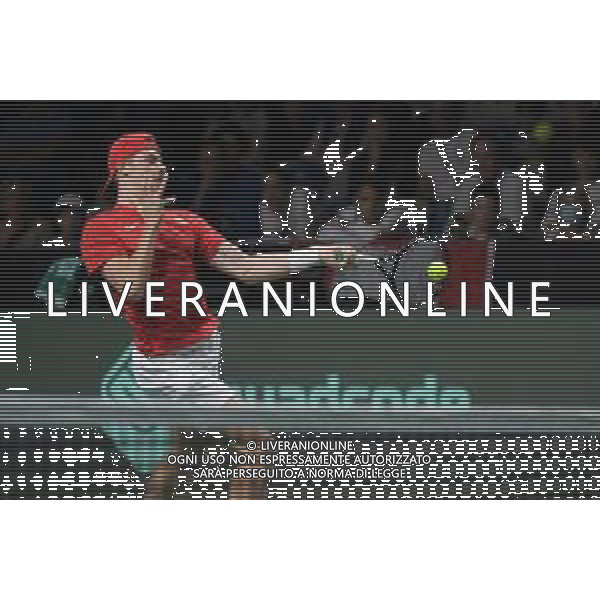 MALAGA, SPAIN - NOVEMBER 26 : Denis Shapovalov during the Davis Cup by Rakuten Finals 2022 semi-finals match between Italy and Canada at Palacio de los Deportes Jose Maria Martin Carpena on November 24, 2022 in Malaga, Spain ©Andrea Rosito / AGENZIA ALDO LIVERANI SAS