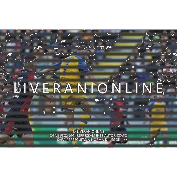 Frosinone vs Cagliari 14 Campionato Serie B - 14 Giornata Stadio B.Stirpe - Frosinone 27-11-2022 nella foto Gol Marcus Rohden ©Federico Gaetano / AGENZIA ALDO LIVERANI SAS