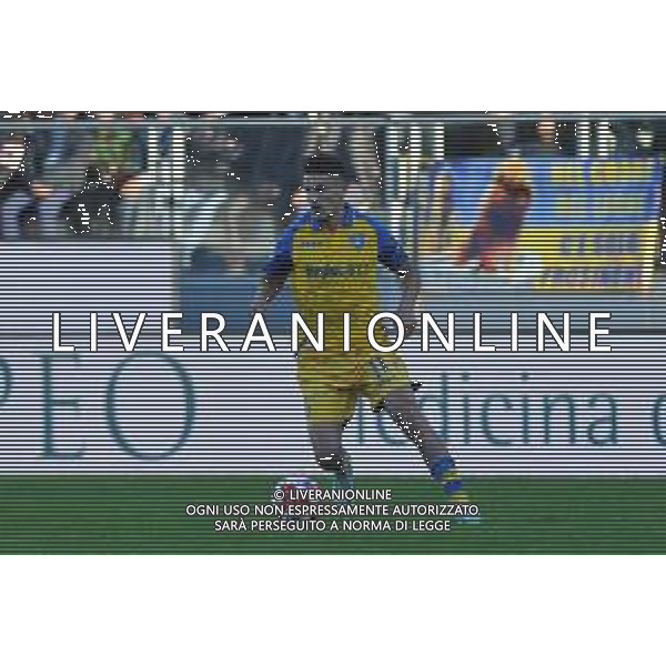 Frosinone vs Cagliari 14 Campionato Serie B - 14 Giornata Stadio B.Stirpe - Frosinone 27-11-2022 nella foto Daniel Boloca ©Federico Gaetano / AGENZIA ALDO LIVERANI SAS