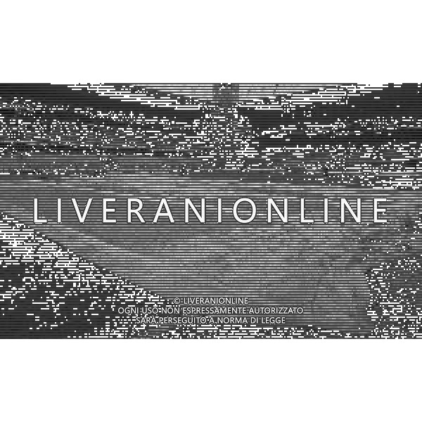 06-11-1994 GENOVA CAMPIONATO DI CALCIO SERIE A GENOA-INTER 2-1 NELLA FOTO I TELONI SUL CAMPO ALLO STADIO DI GENOVA PER L\'ACQUA AG ALDO LIVERANI SAS