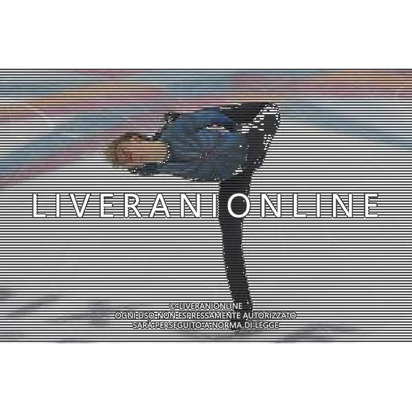 TVMV-Torino 08.12.2022 Palavela © Manuela Viganti/Agenzia Aldo Liverani Grand Prix of Figure Skating Fianl 2022/2023 Torino Nella foto: daniel grassl ©Viganti Manuela / AGENZIA ALDO LIVERANI SAS