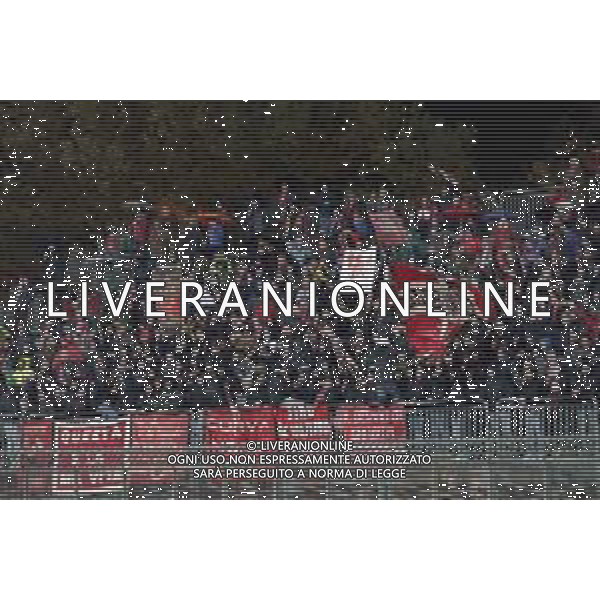 ZCP - LEGA PRO 10/12/2022 Rimini - Ancona Campionato di Calcio serie C girone B - nella foto: tifosi ancona ©Claudio Zamagni// AGENZIA ALDO LIVERANI SAS