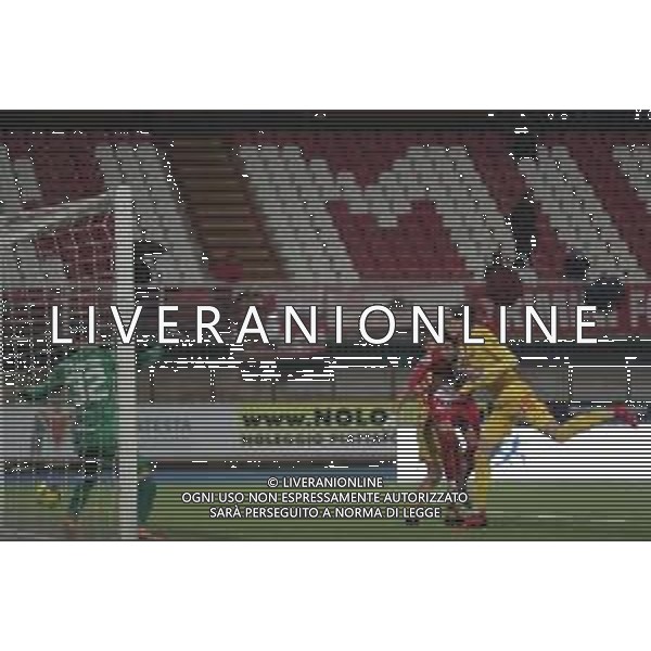 ZCP - LEGA PRO 10/12/2022 Rimini - Ancona Campionato di Calcio serie C girone B - nella foto: goal Delcarro Andrea(Rimini fc) ©Claudio Zamagni/ / AGENZIA ALDO LIVERANI SAS