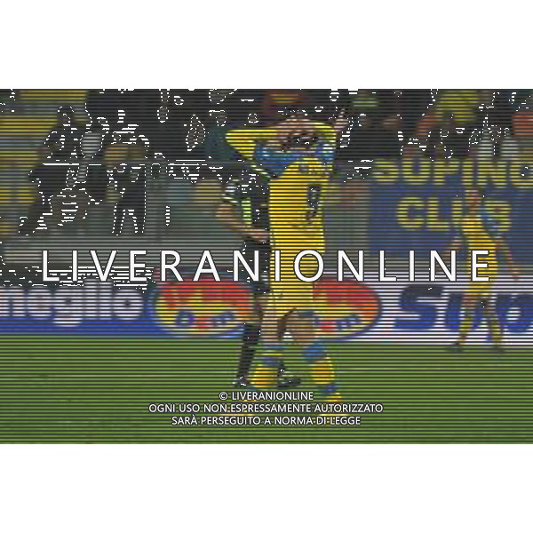 Frosinone vs Pisa Campionato Serie B - 17 Giornata Stadio B.Stirpe - Frosinone 11-12-2022 nella foto Delusione Mulattieri ©Federico Gaetano / AGENZIA ALDO LIVERANI SAS