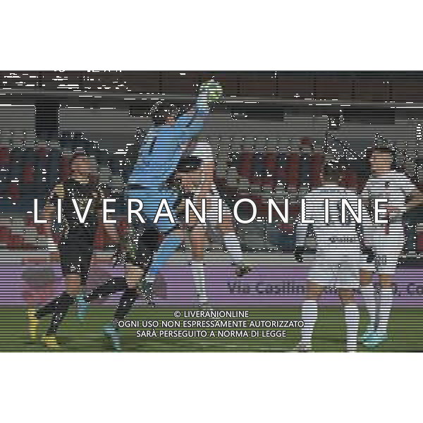 Cosenza, ITALY - JANUARY, 15: Paleari during the Serie B match between Cosenza and Benevento at Stadio San Vito-Marulla on January 15, 2023 in Cosenza FOTO ANDREA ROSITO-AG ALDO LIVERANI SAS