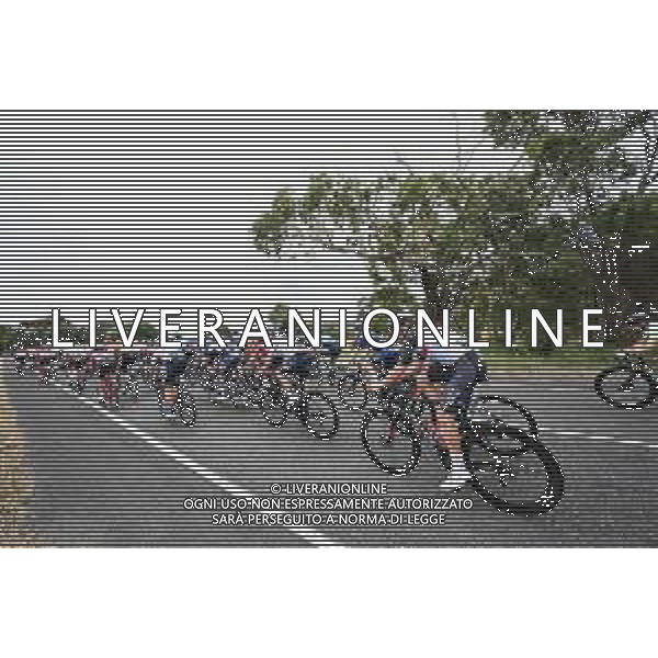 19-01-2023 Tour Down Under; Tappa 02 Brighton - Victor Harbor; Australia ©SIROTTI / AGENZIA ALDO LIVERANI SAS