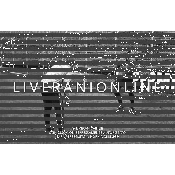 ALLENAMENTO DEL COMO CAMPIONATO CALCIO SERIE B 1979-1980 - RETROSPETTIVA NELLA FOTO VILLIAM (WILLIAM) VECCHI PORTIERE AGENZIA ALDO LIVERANI SAS 