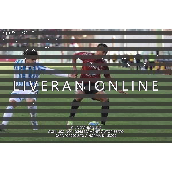 REGGINA VS SPAL CAMPIONATO CALCIO SERIE BKT - REGGIO CALABRIA 14.01.2023 NELLA FOTO RIGOBERTO RIVAS E STEFANO PETTINARI ©GARREFFA PASQUALE / AGENZIA ALDO LIVERANI SAS