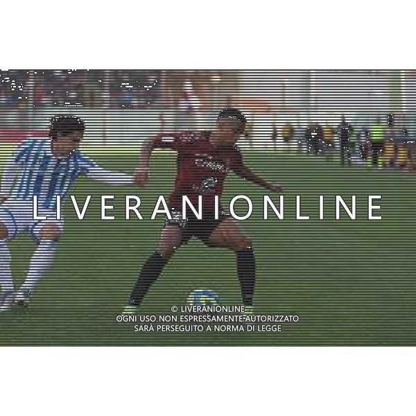 REGGINA VS SPAL CAMPIONATO CALCIO SERIE BKT - REGGIO CALABRIA 14.01.2023 NELLA FOTO RIGOBERTO RIVAS E STEFANO PETTINARI ©GARREFFA PASQUALE / AGENZIA ALDO LIVERANI SAS