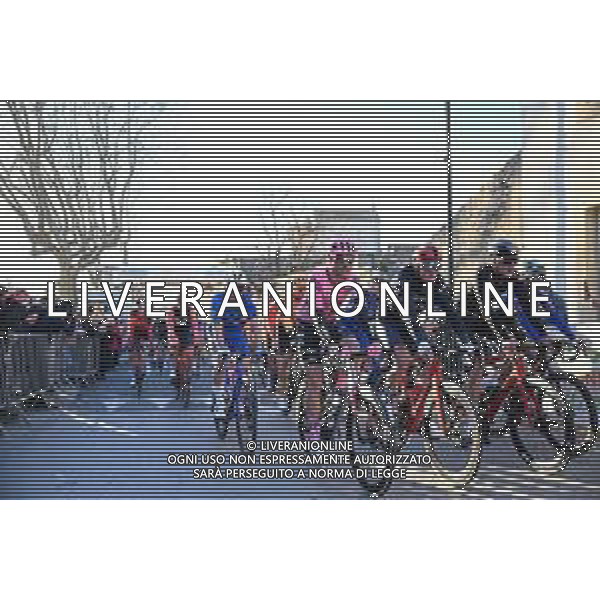 02-02-2023 Etoile De Besseges; Tappa 02 Bagard - Aubais; 2023, Ef Education - Easypost; 2023, Trek - Segafredo; Nielsen Magnus, Cort; Pedersen, Mads; Aubais; ©SIROTTI / AGENZIA ALDO LIVERANI SAS
