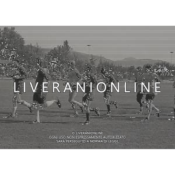 1981 ALLENAMENTO BOLOGNA CALCIO NELLA FOTO ALLENAMENTO BOLOGNA CALCIO AG ALDO LIVERANI SAS