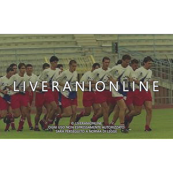 1999 PIACENZA ALLENAMENTO PIACENZA CALCIO NELLA FOTO ALLENAMENTO PIACENZA CALCIO AG ALDO LIVERANI SAS