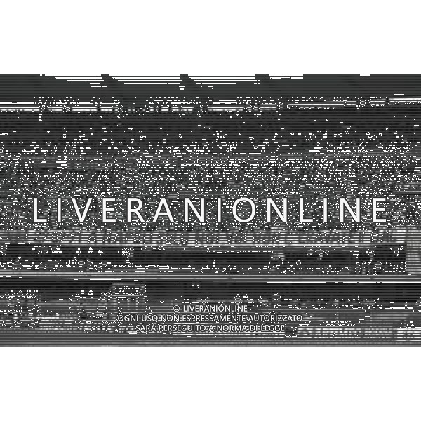 06-10-1991 VERONA CAMPIONATO DI CALCIO SERIE A VERONA-CAGLIARI 2-0 NELLA FOTO TIFOSI VERONA CALCIO AG ALDO LIVERANI SAS