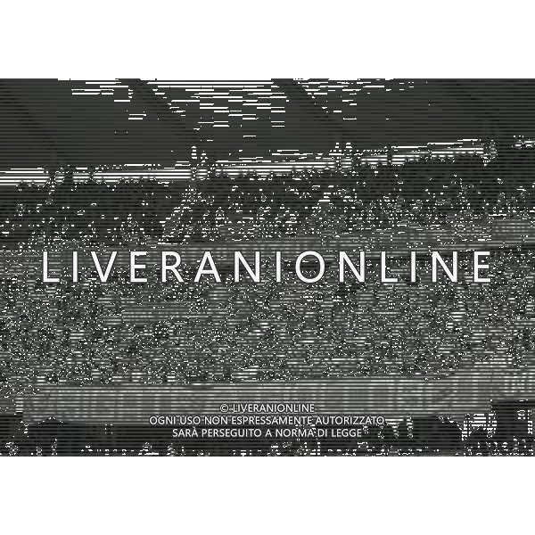 06-10-1991 VERONA CAMPIONATO DI CALCIO SERIE A VERONA-CAGLIARI 2-0 NELLA FOTO TIFOSI VERONA CALCIO AG ALDO LIVERANI SAS