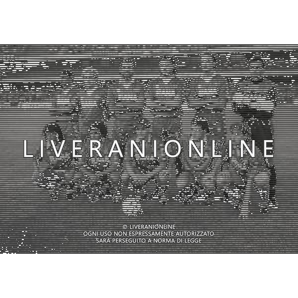 1991-1992 LA FORMAZIONE DEL VERONA CALCIO NELLA FOTO LA FORMAZIONE DEL VERONA CALCIO NELL\'ANNO 1991-1992 DA SIN IN PIEDI ERNESTO CALISTI-ROBERT PRYTZ-CELESTE PIN-EZIO ROSSI-ALESSANDRO RENICA-ATTILIO GREGORI SED DA SIN DAVIDEPELLEGRINI-ANDREA ICARDI-DRAGAN STOJKOVIC-CLETO POLONIA E FLORIN RADUCIOIU AG ALDO LIVERANI SAS