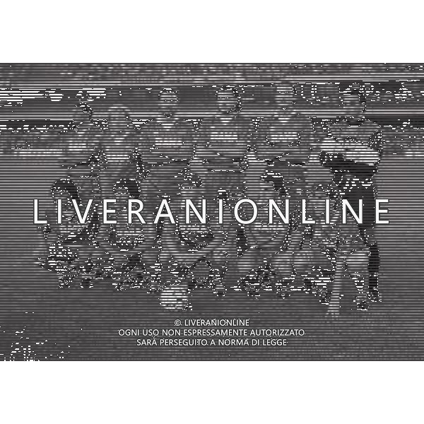 1991-1992 LA FORMAZIONE DEL VERONA CALCIO NELLA FOTO LA FORMAZIONE DEL VERONA CALCIO NELL\'ANNO 1991-1992 DA SIN IN PIEDI ERNESTO CALISTI-ROBERT PRYTZ-CELESTE PIN-EZIO ROSSI-ALESSANDRO RENICA-ATTILIO GREGORI SED DA SIN DAVIDEPELLEGRINI-ANDREA ICARDI-DRAGAN STOJKOVIC-CLETO POLONIA E FLORIN RADUCIOIU AG ALDO LIVERANI SAS