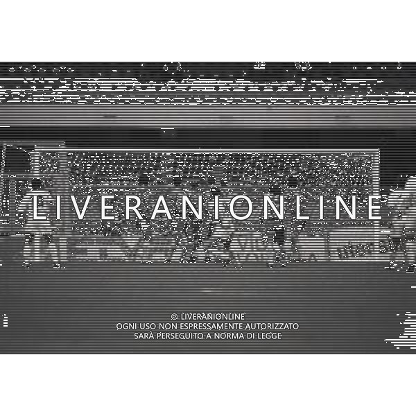 17-10-1993 VERONA CAMPIONATO DI CALCIO SERIE A B VERONA-COSENZA 2-2 NELLA FOTO DOPO GOAL COSENZA CALCIO AG ALDO LIVERANI SAS