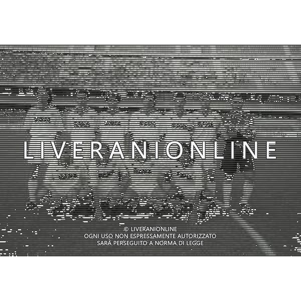 1993 FORMAZIONE VERONA CALCIO NELLA FOTO LA FORMAZIONE DEL VERONA CALCIO AG ALDO LIVERANI SAS