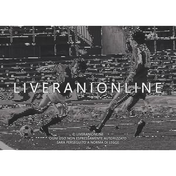 18-01-1981 BRESCIA CAMPIONATO DI CALCIO SERIE A BRESCIA-PERUGIA 1-1 NELLA FOTO AZIONE DI GIOCO AG ALDO LIVERANI SAS