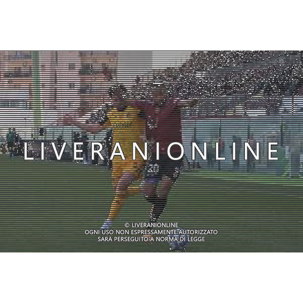 Stadio Oreste Granillo Serie B 2022-2023 Reggina-Pisa In foto: Arturo Calabresi e Azevedo Hernani ©Andrea Rosito / AGENZIA ALDO LIVERANI SAS