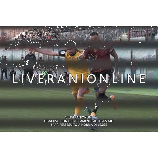 Stadio Oreste Granillo Serie B 2022-2023 Reggina-Pisa In foto: Arturo Calabresi e Azevedo Hernani ©Andrea Rosito / AGENZIA ALDO LIVERANI SAS
