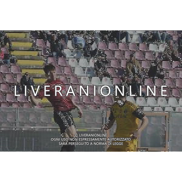 Stadio Oreste Granillo Serie B 2022-2023 Reggina-Pisa In foto: Giovanni Fabbian e Pietro Beruatto ©Andrea Rosito / AGENZIA ALDO LIVERANI SAS