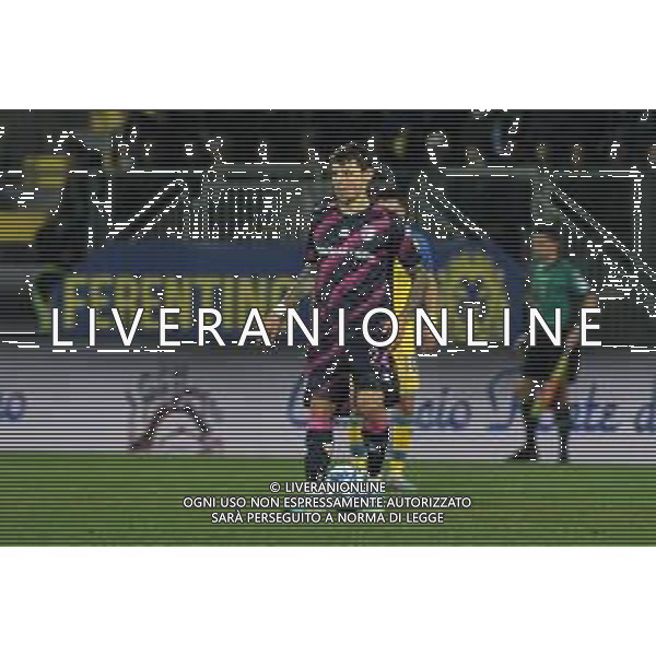 Frosinone vs Parma Campionato Serie B - 26 Giornata - Stadio B.Stirpe - Frosinone 24-02-2023 nella foto Stanko Juric FOTO FEDERICO GAETANO-AG ALDO LIVERANI SAS