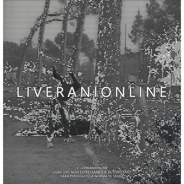 1950 ROMA ABBATTIMENTO DEGLI ALBERI A VILLA BORGHESE E CORSO ITALIA FOTO SANDRO VESPASIANI-AG ALDO LIVERANI SAS