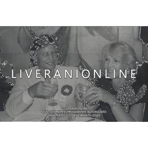 RETROSPETTIVA MICHAEL YORK ATTORE NELLA FOTO MICHAEL YORK E LA MOGLIE PATRICIA Mc CALLUM NELL\'ANNO 1987 A VENEZIA AG ALDO LIVERANI SAS  