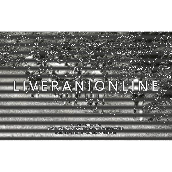 1981-1982 ALLENAMENTO PRE CAMPIONATO FIORENTINA CALCIO NELLA FOTO ALLENAMENTO FIORENTINA AG ALDO LIVERANI SAS