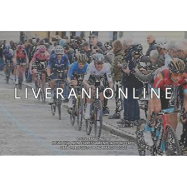 11-03-2023 Tirreno - Adriatico; Tappa 06 Osimo - Osimo; 2023, Uae Emirates; 2023, Jumbo - Visma; Almeida, Joao; Roglic, Primoz; Osimo; ©SIROTTI / AGENZIA ALDO LIVERANI SAS