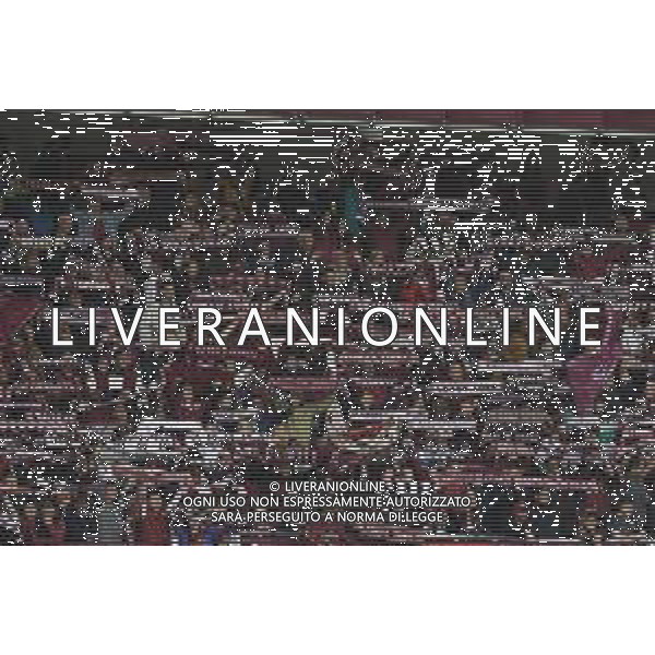 Torino 19.03.2023 Stadio Grande Torino ©Manuela Viganti/Agenzia Aldo Liverani Torino vs Napoli Campionato Calcio Serie A TIM 2022/2023 27a giornata Nella foto: tifosi torino ©AGENZIA ALDO LIVERANI SAS