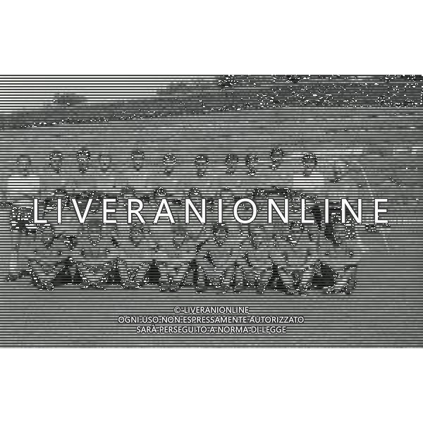 1987-1988 RITIRO FIORENTINA CALCIO NELLA FOTO LA FORMAZIONE DELLA FIORENTINA IN RITIRO AG ALDO LIVERANI SAS