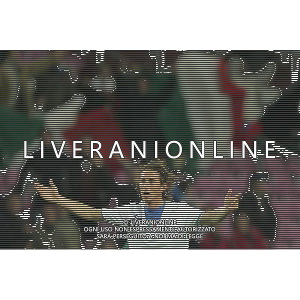 Ginevra 16/11/2005 Italia - Costa d\'Avorio amichevole nazionale nella foto lo sgomento di diana stefano aimo dopo il gol annullato ph andry/agenzia aldo liverani