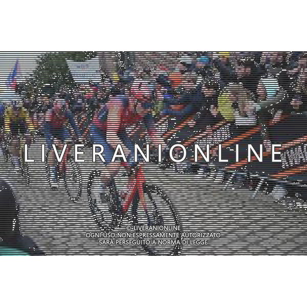 02-04-2023 Tour Des Flandres; 2023, Ineos Grenadiers; Sheffield, Magnus; Old Kwaremont; ©SIROTTI / AGENZIA ALDO LIVERANI SAS