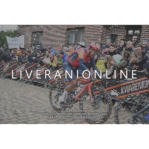 02-04-2023 Tour Des Flandres; 2023, Ineos Grenadiers; Narvaez, Jhonnatan; Old Kwaremont; ©SIROTTI / AGENZIA ALDO LIVERANI SAS