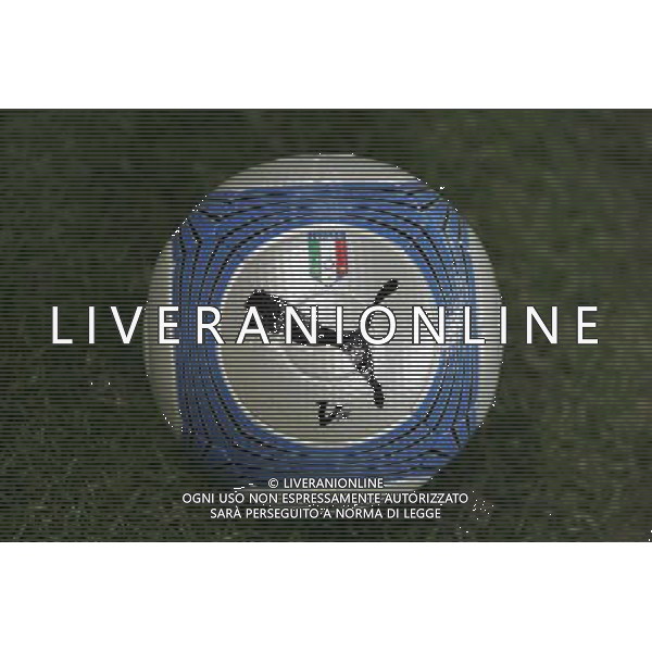 Ginevra (CH) 15-11-2005 amichevole nazionale italiana calcio italia-costa d\' avorio 1:1 nella foto il nuovo pallone puma per la nazionale italiana ph marco luzzani /ag aldo liverani s.a.s.