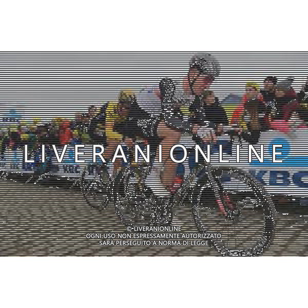 02-04-2023 Tour Des Flandres; 2023, Uae Emirates; Bjerg, Mikkel; Paterberg; ©SIROTTI / AGENZIA ALDO LIVERANI SAS